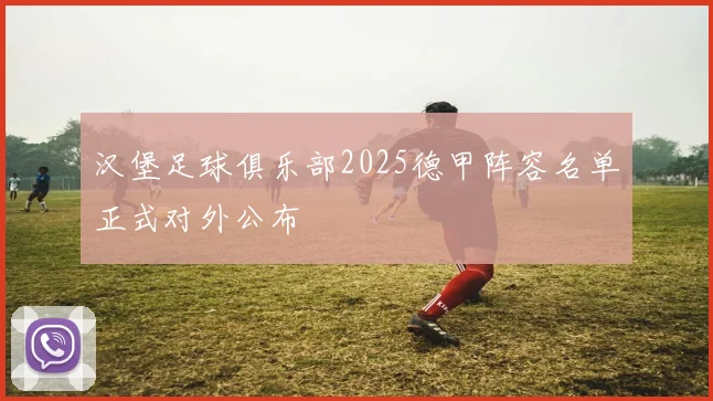 汉堡足球俱乐部2025德甲阵容名单正式对外公布